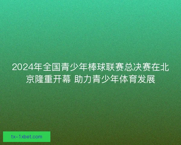 2024年全国青少年棒球联赛总决赛在北京隆重开幕 助力青少年体育发展